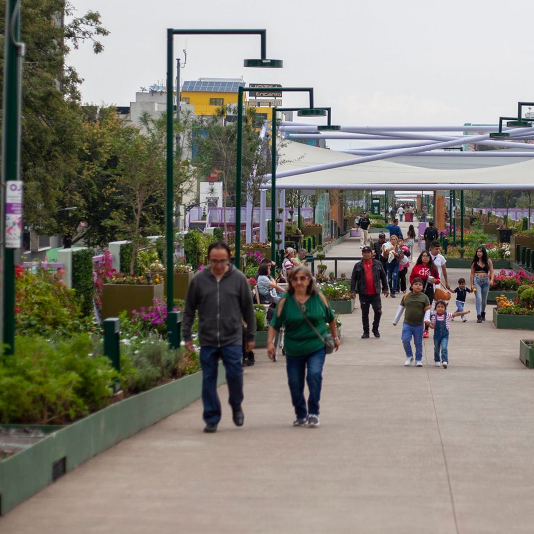 México Analizará Bajo Crecimiento de Población y "Después Vemos que Hacer": Sheinbaum